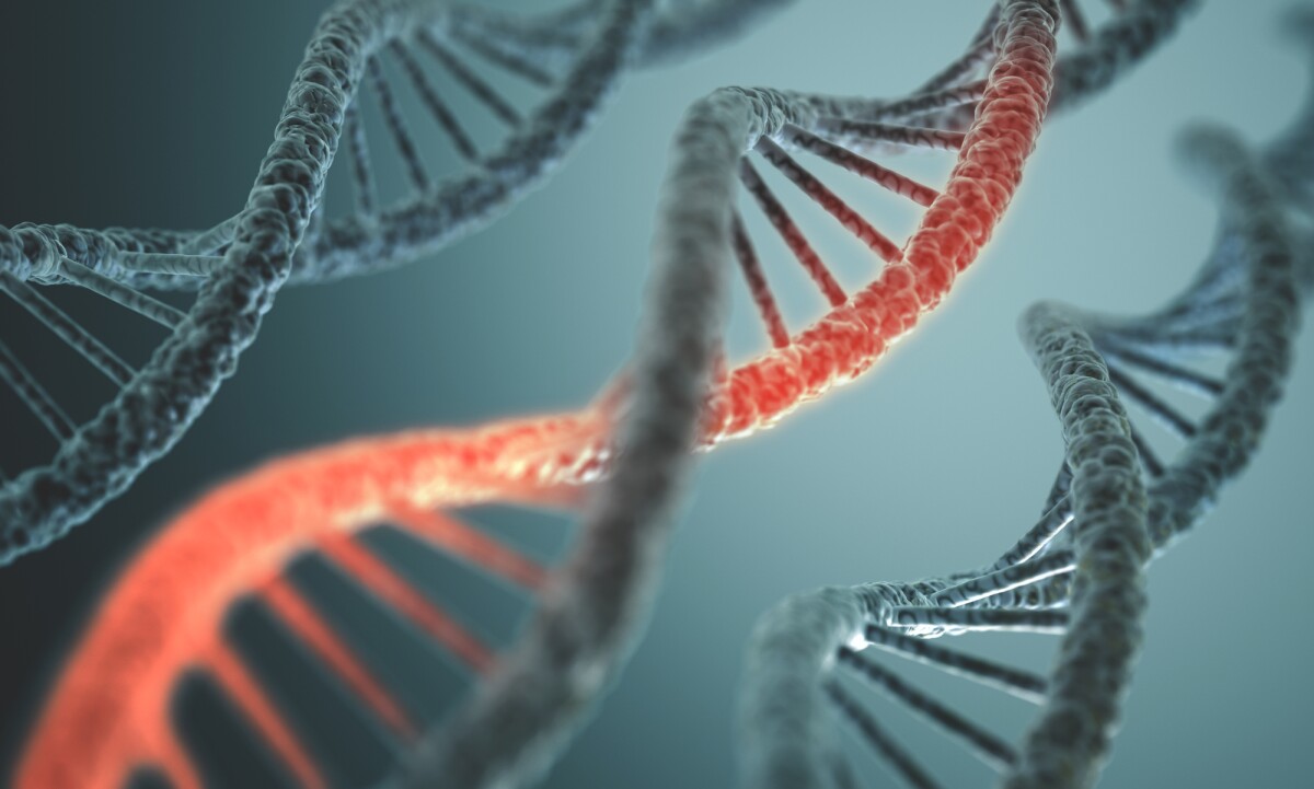 An international consortium has published the results of a comprehensive study into the genome of cancer