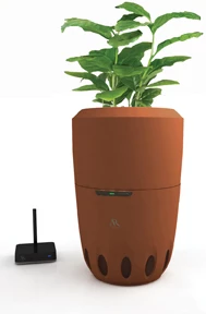 Audiovox has released a new range of digital speakers that can also light up your outdoor living area