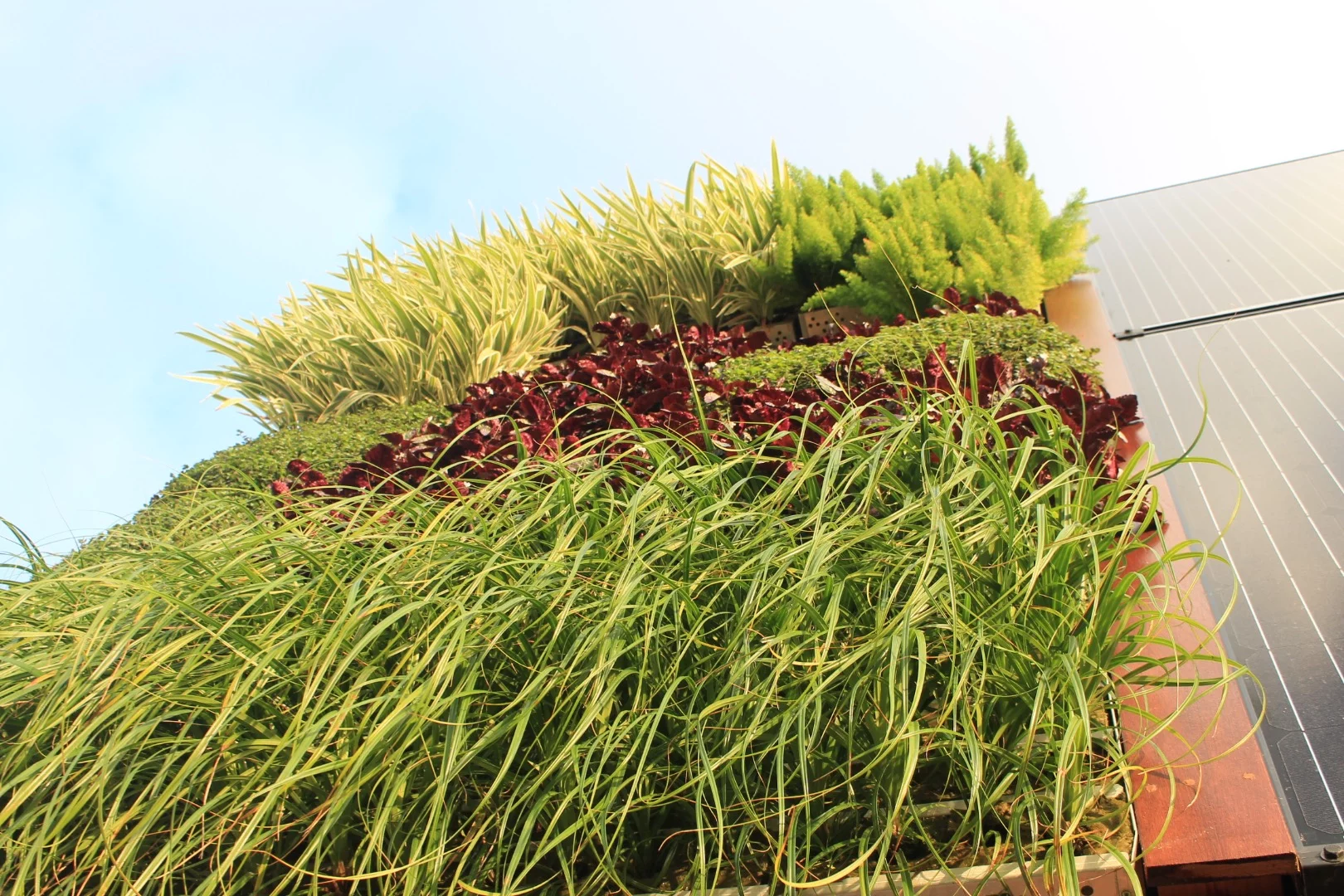 Sustainable design and technology slated for Elevate includes living walls