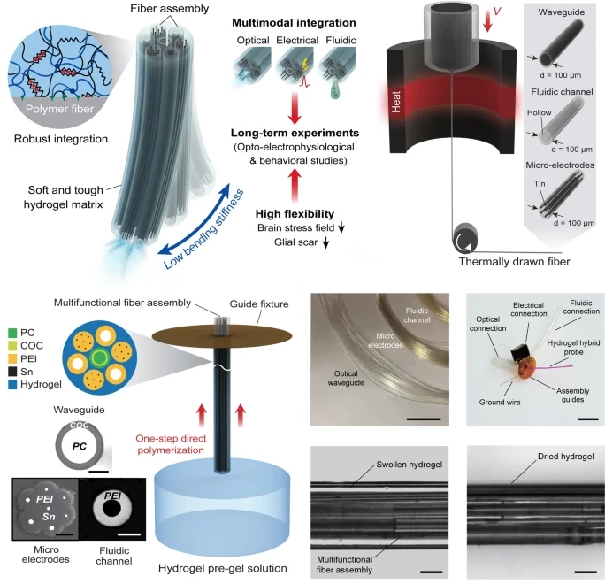 A diagram showing the components of the implant
