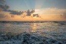 A new study has revealed not just how warm our ocean's have gotten, but that they continue to do so at an accelerated pace
