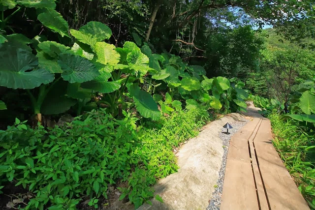 Access by board walkway (photo: AdDa Zei/Casagrande Laboratory)