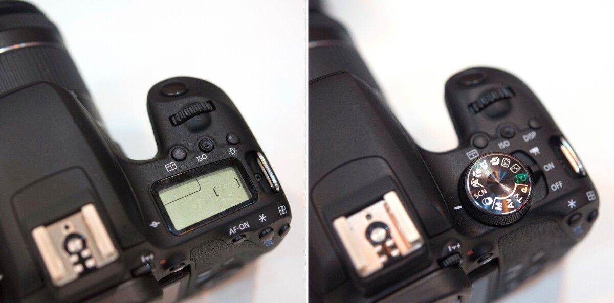 The grip on the Canon EOS 77D (left) and Canon EOS 800D (also known as the Rebel T7i) makes the cameras easy to hold