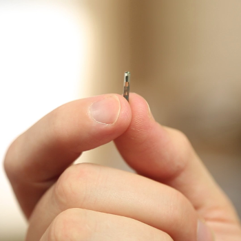 The microchips being used by 32M are the size of a grain or rice