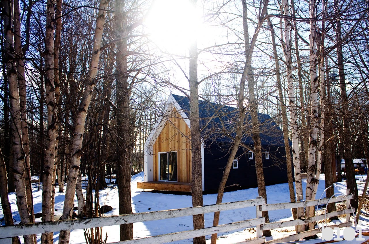 The iconic looking home is raised 200mm (7.9 inches) off the ground and is positioned along a large clearing surrounded by farmland (Photo by: Alison Anderson)