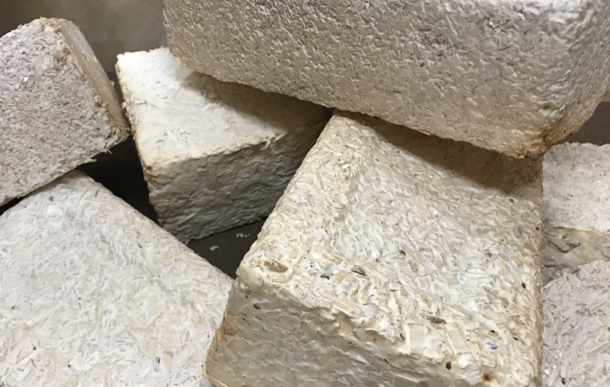 Bricks made with mycelia, wood chips and yard waste