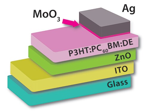 The diatoms were added to the thin active layer in the organic solar cell