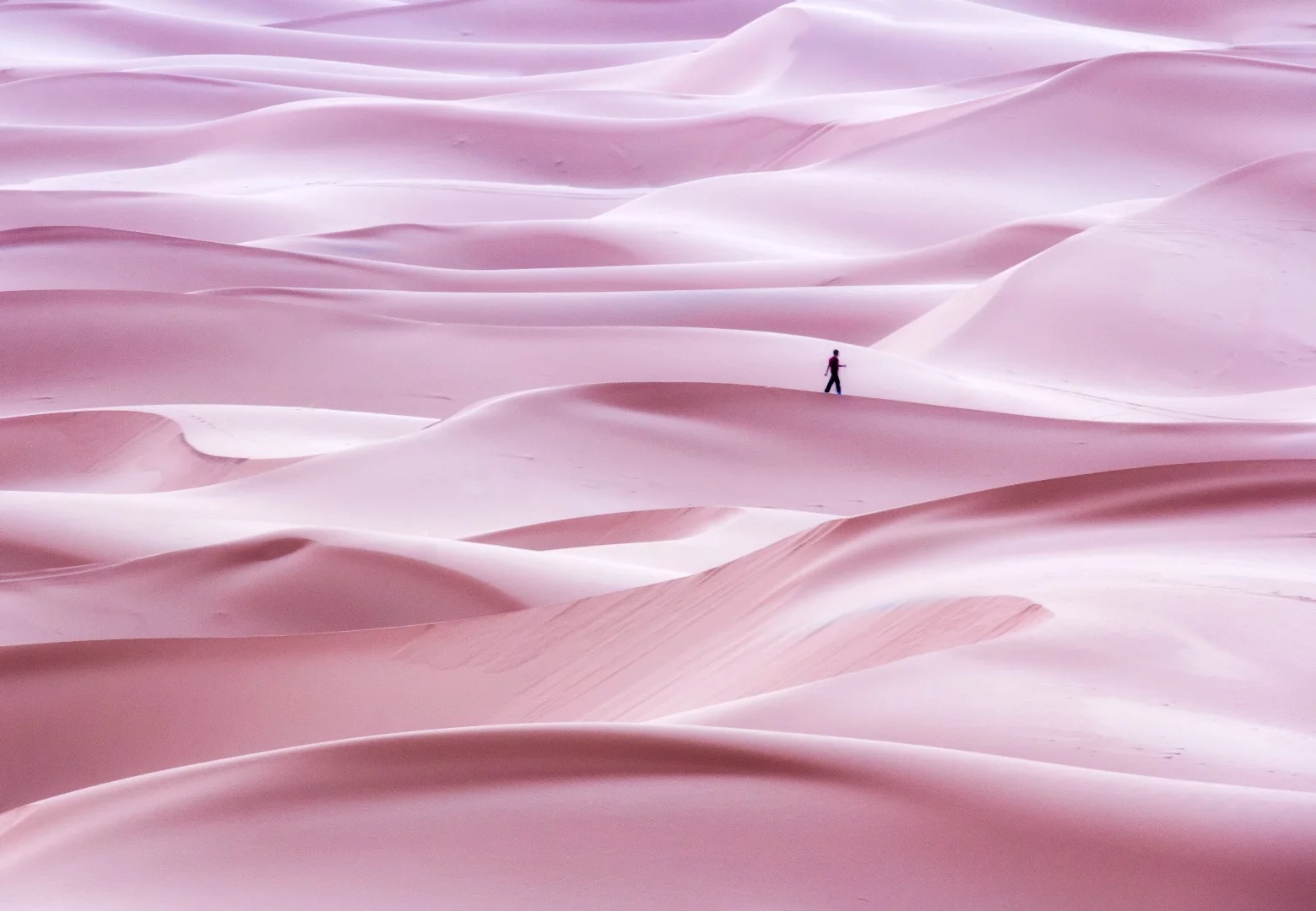This image was captured in Erg Chebbi (Morocco) on the western edge of the Sahara desert, after a camel ride to the dunes at sunrise