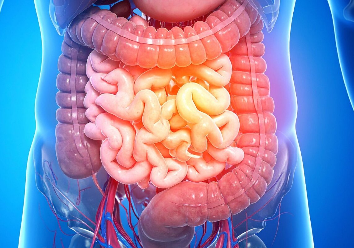 Cause of inflammatory bowel disease discovered in traitorous antibody
