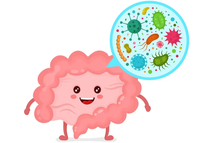 Researchers have investigated how metabolite-producing bacteria could mediate the anti-aging effect seen in metformin, a common diabetes medication