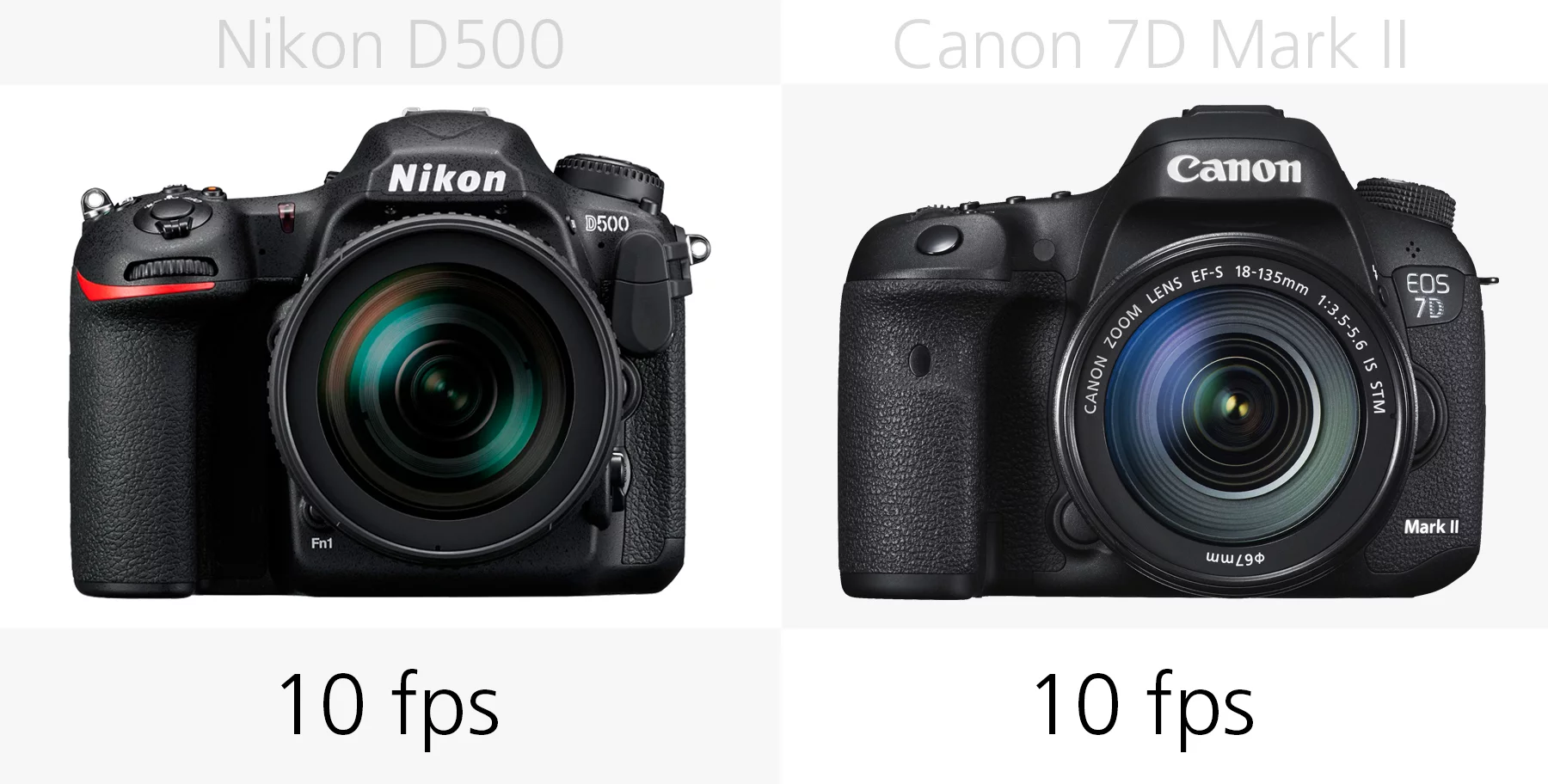 Continious shooting comparison of the Nikon D500 and Canon 7D Mark II