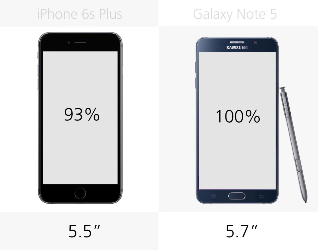Display size