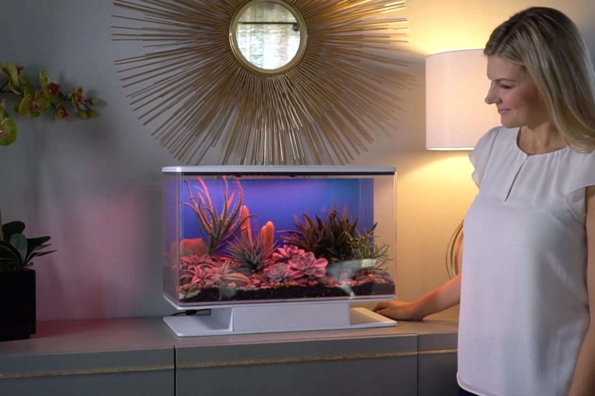 Appcontrolled terrarium puts on a sound and lightning show