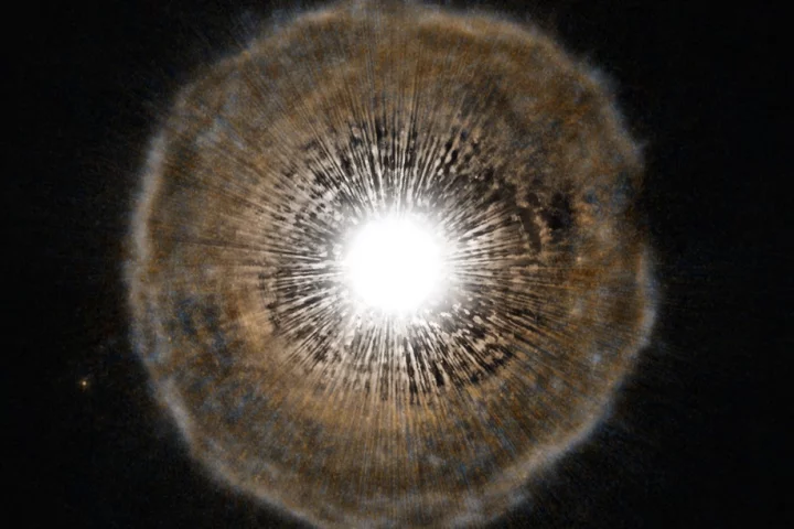 The star U Camelopardalis pulses out a shroud of dust and gas – a similar process to what astronomers have observed coming from the red giant T Ursae Minoris
