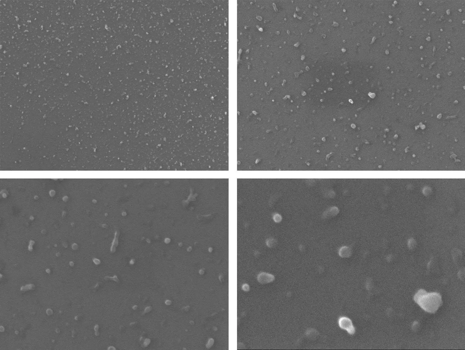 High resolution images of the nanoparticles found in single-use beverage cups