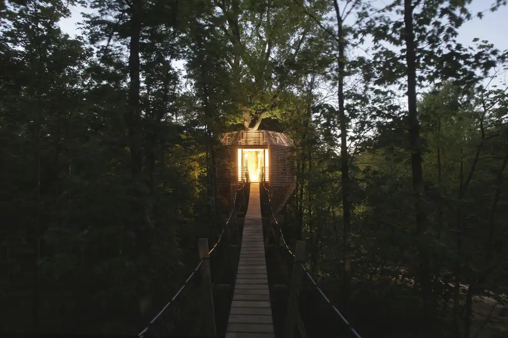 Walkway leading to the Origin treehouse