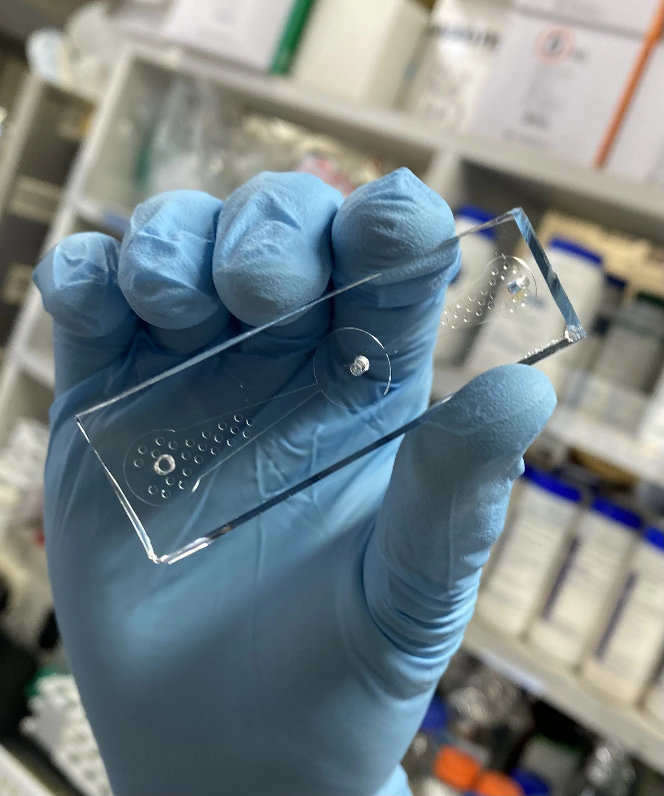 The prototype device is currently claimed to be 70 percent accurate at detecting lung cancer cells using roundworms