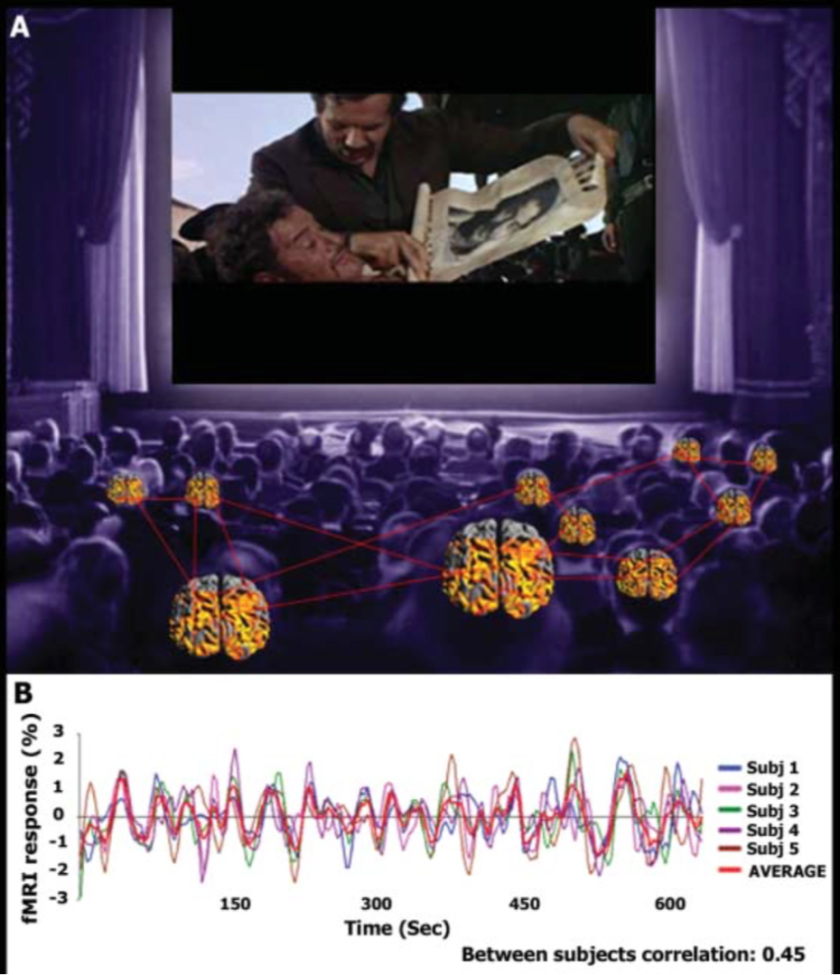 The graph shows the similarity in brain activity across multiple subjects while watching the same section of the film The Good, The Bad and the Ugly
