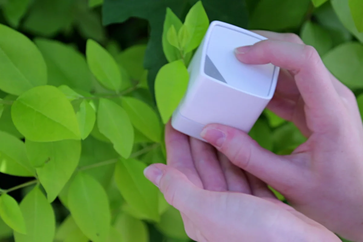 I think I'd like to go with a nice, leafy green