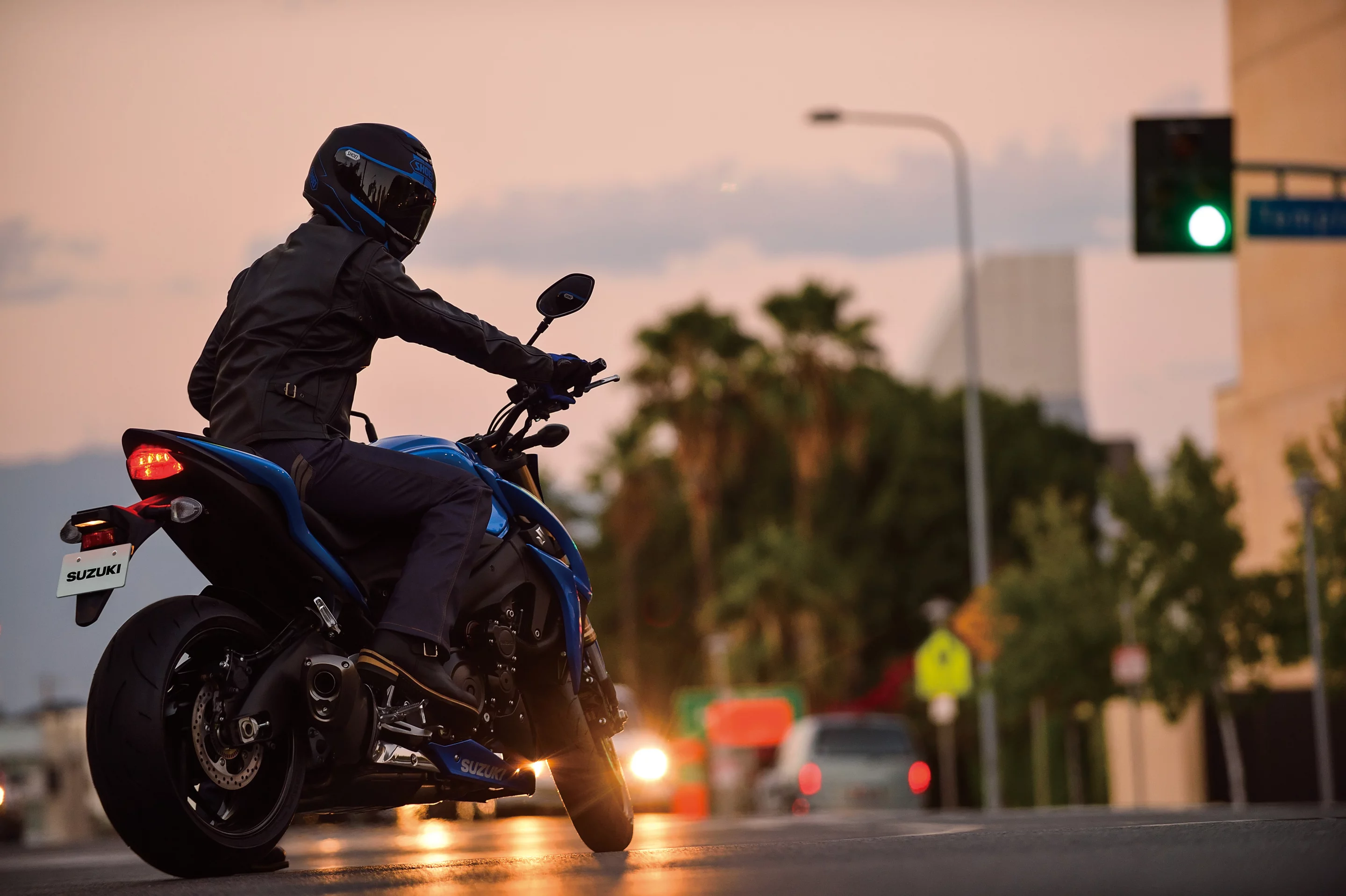2015 Suzuki GSX-S1000