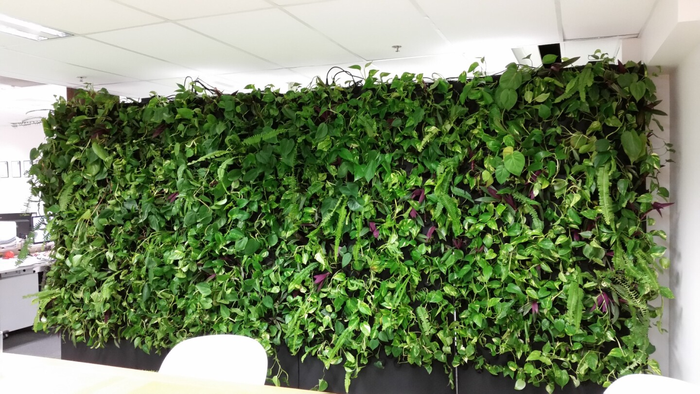 PodPlants Modular, plug and play vertical gardens for indoor spaces