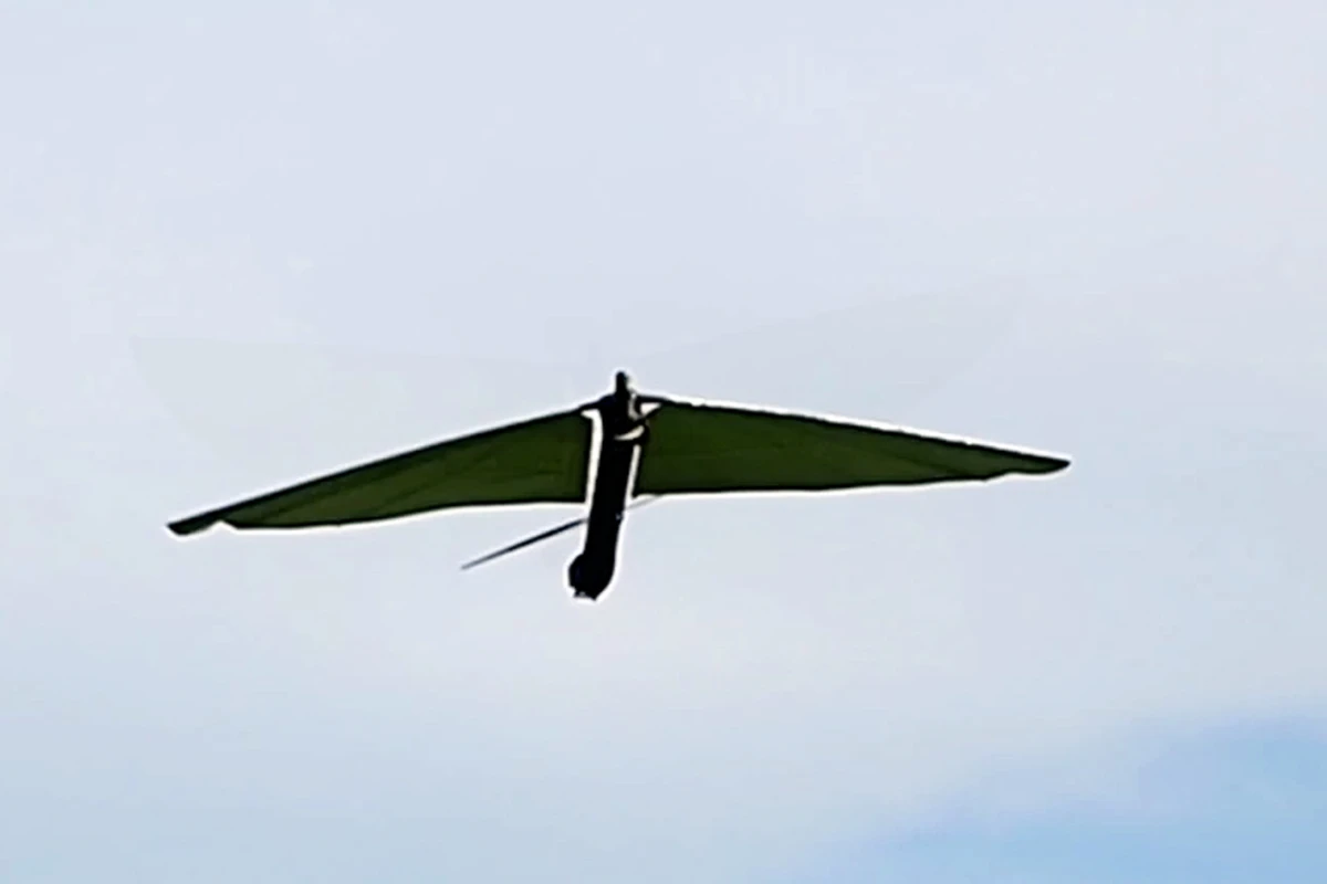 Researchers from the University of Maryland have built a new micro air vehicle dubbed Robo Raven (Photo: University of Maryland)