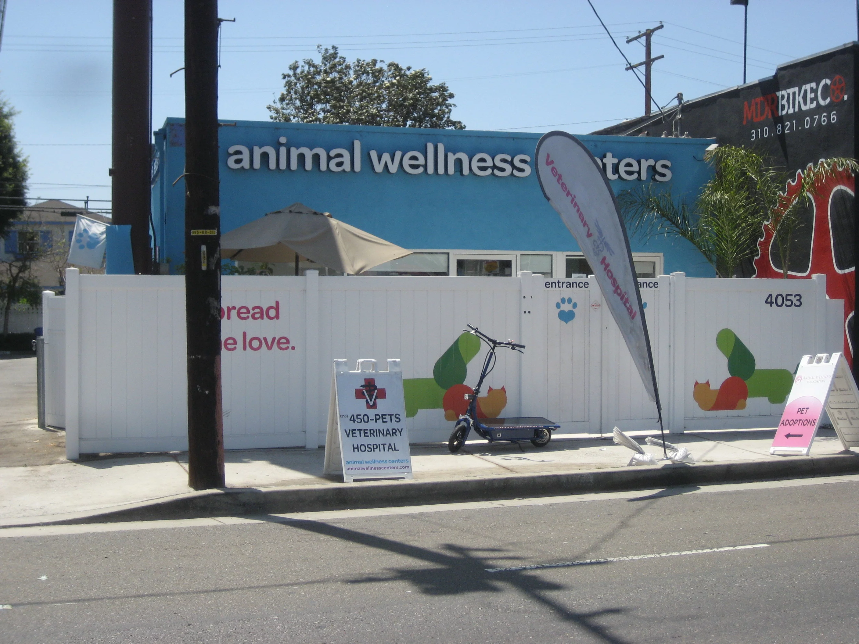 Soaking up the sun and charging the batteries while visiting the Animal Wellness Center in Marina Del Ray