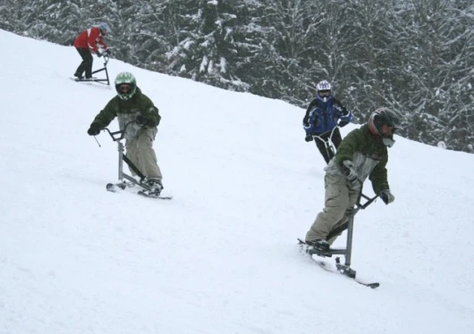 The Snowter