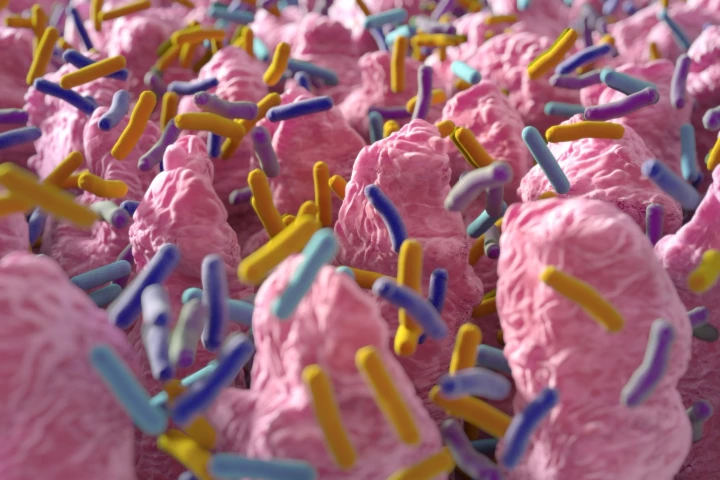 A Stanford study has found that 99 percent of the microbes inside the human body are completely unknown to science