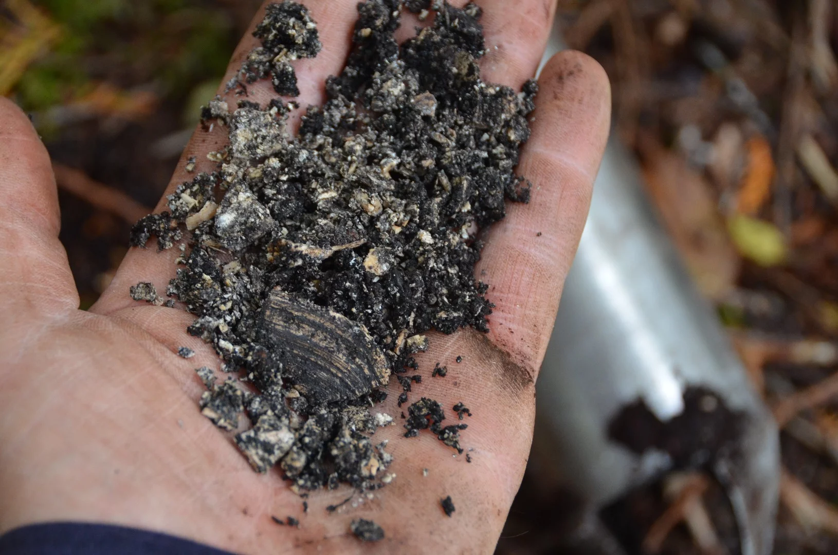 Deep shell middens in the area feed nutrients into the soil