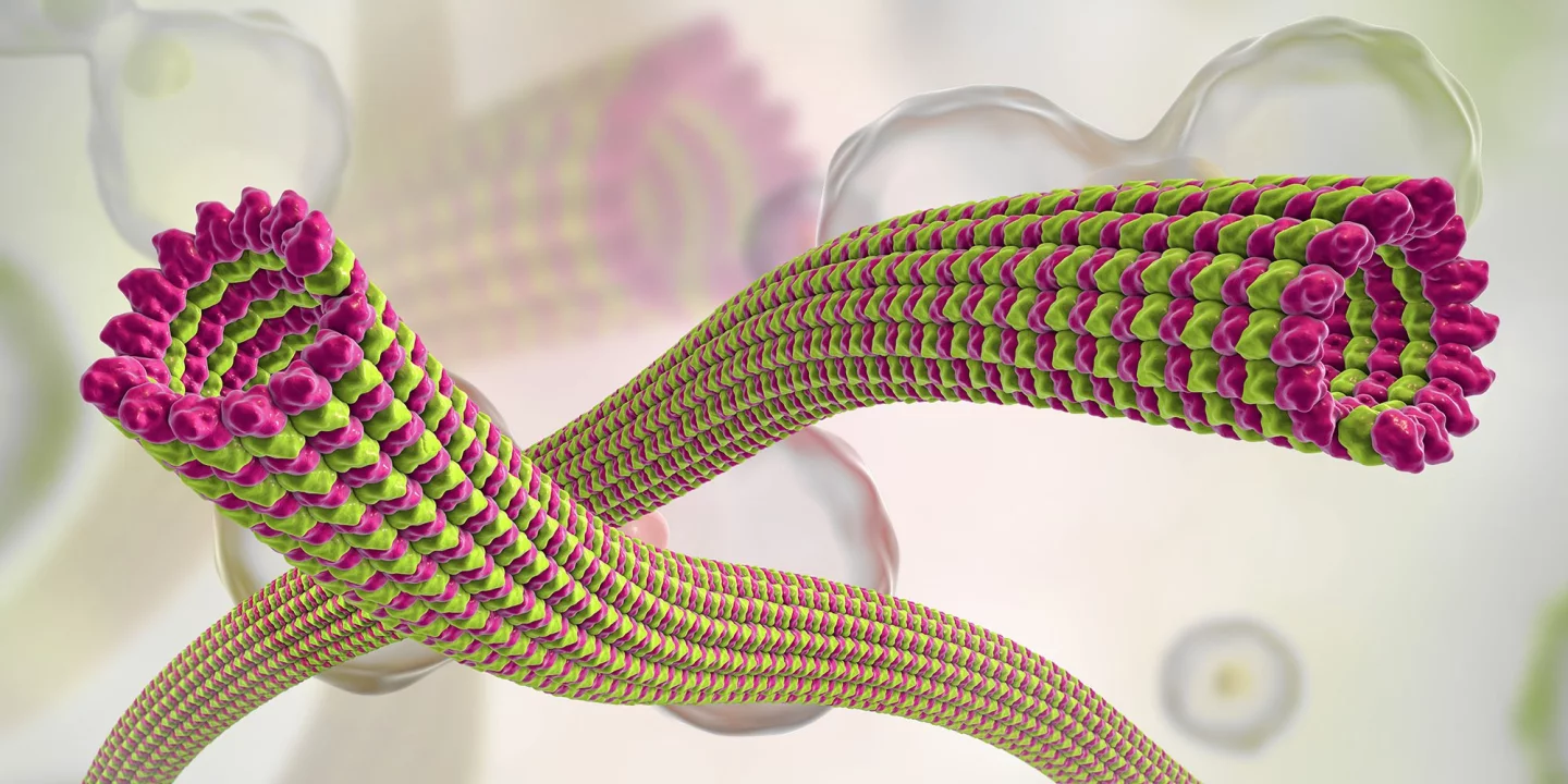 Microtubule structures in the brain are small enough to interact with quantum phenomena, and a growing body of research indicates they might be able to do so at room temperature, and in the electrically noisy environment of the human brain