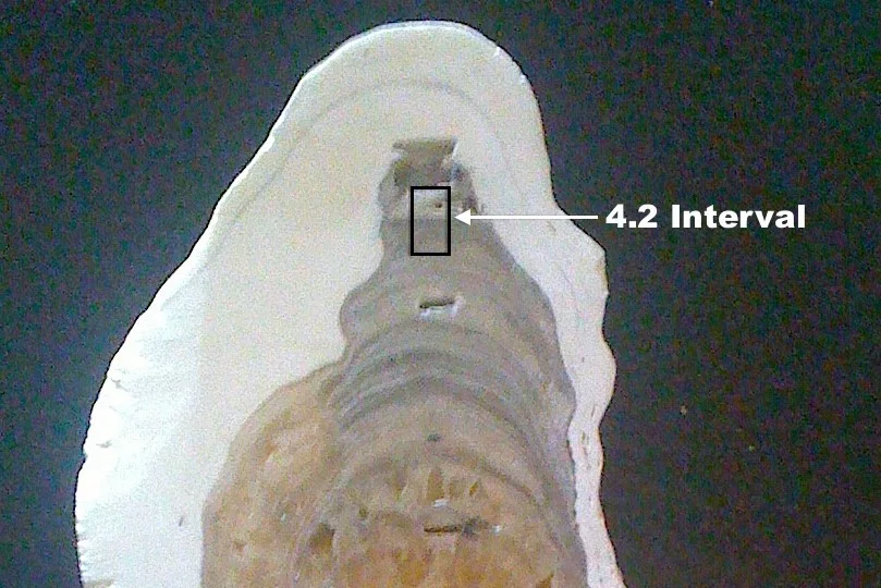 A slice of stalactite from a cave in India provides a geological record for the beginning of the Meghalayan age, some 4,200 years ago
