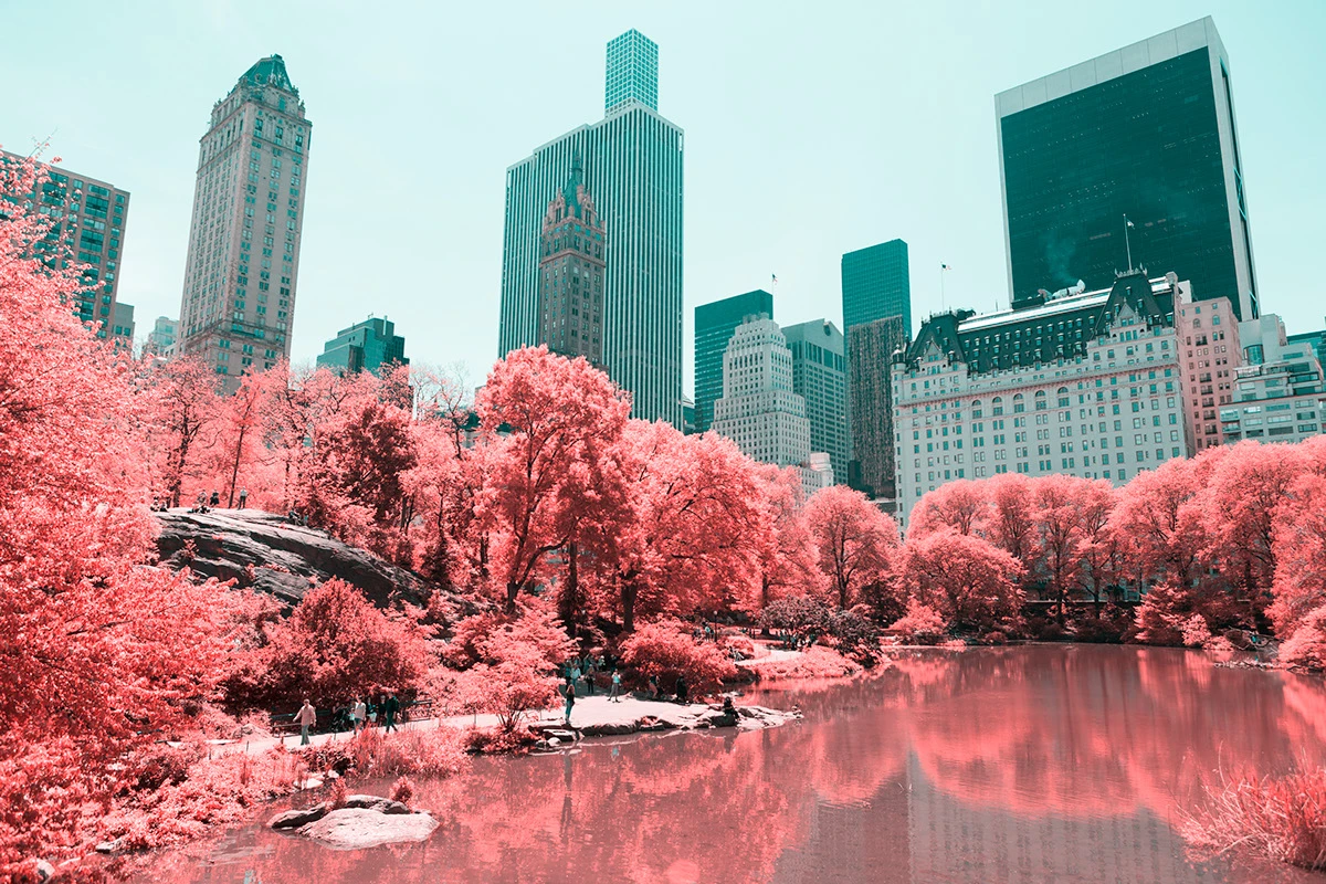 Paolo Pettigiani's series Infrared NYC is a glorious examination of New York's Central Park that uses infrared filters to transform the greenery into a pink and red wonderland