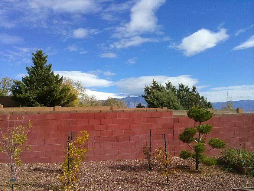 This shot was taken with the Optimus G's rear camera