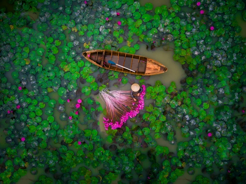 Water Lily: Commended in the People category