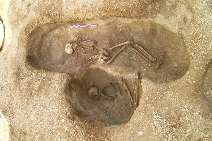 Scientists have traced an ancient family tree back seven generations within one Stone Age burial site in France