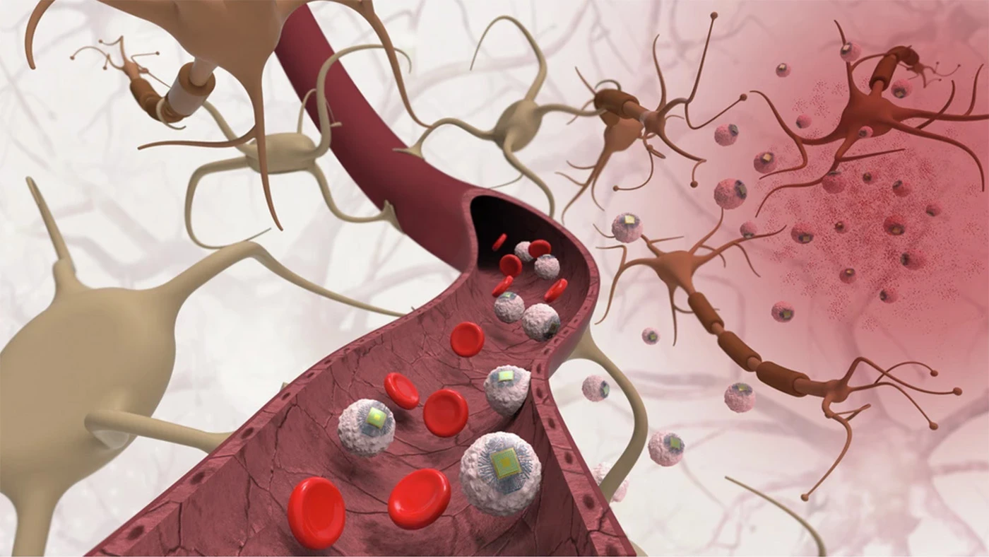 The cell–electronics hybrids can pass through the blood-brain barrier without being attacked by the body's immune system, and help the sub-cellular sized wireless electronic devices self-implant on target regions of the brain