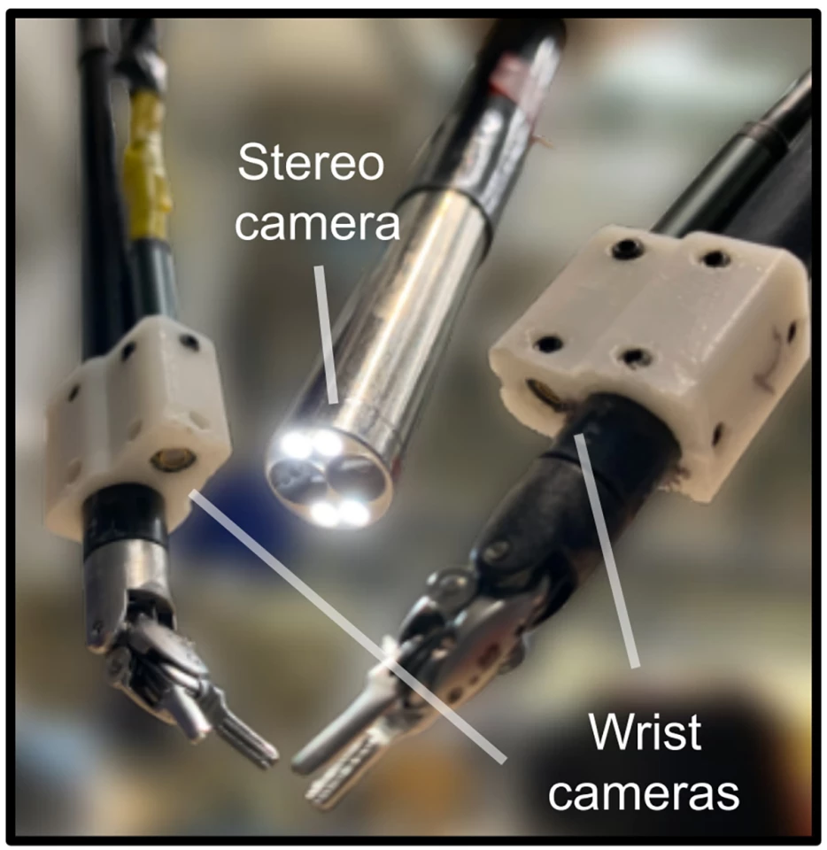 'Wrist' cameras attached to the arms of the robot surgical system capture footage to help train the AI model