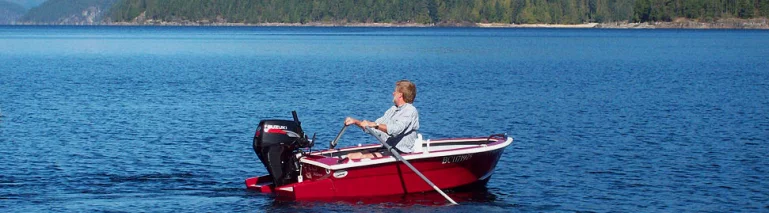 The Wide Open version of the Zingy