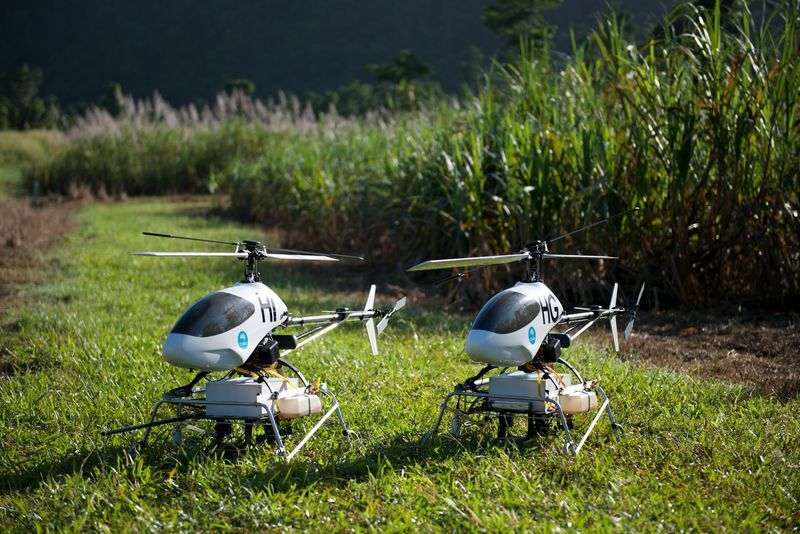 The Project ResQu mini helicopters offer a more effective way to hunt down invasive weeds in Queensland's tropical rainforests (Photo CSIRO)