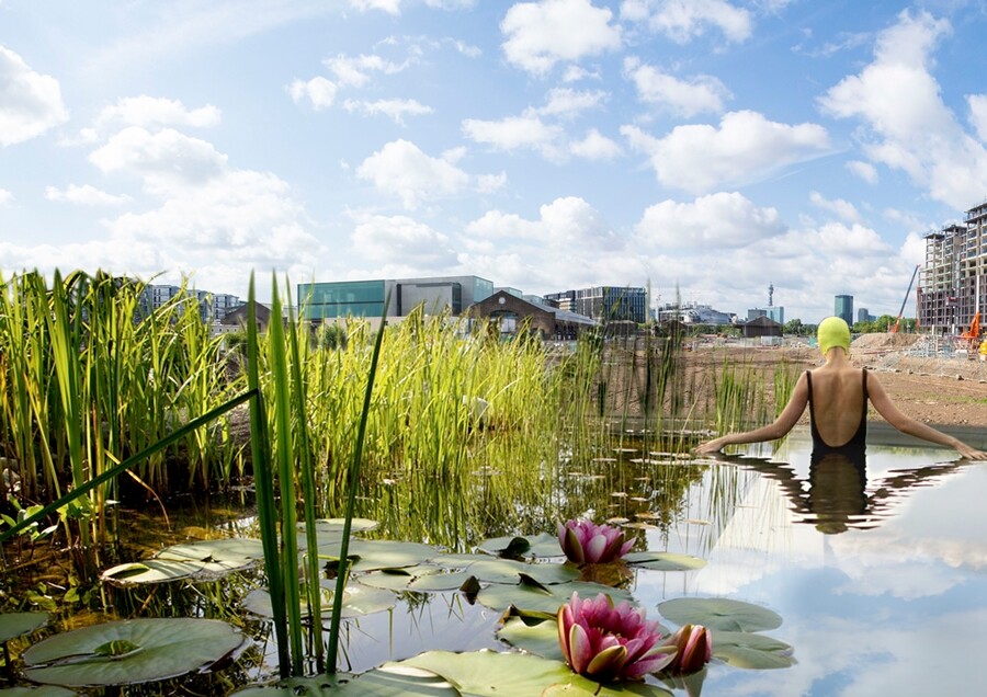 The pond is both natural and chemical-free