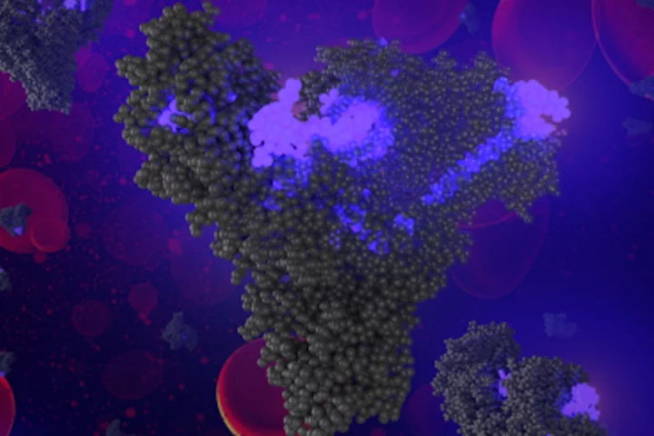 The engineered fat molecules hiding chemotherapy drugs, tricking the tumors into eating the fat