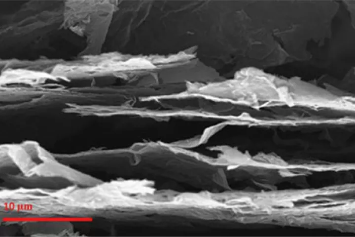 A scanning electron microscope image of the treated graphene oxide paper