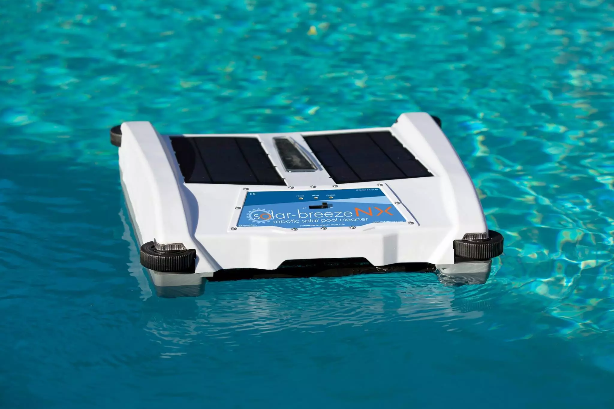 The pool skimmer in its native habitat