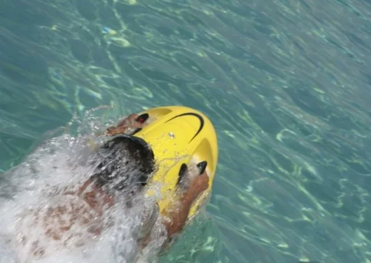 The SeaBob underwater propulsion device