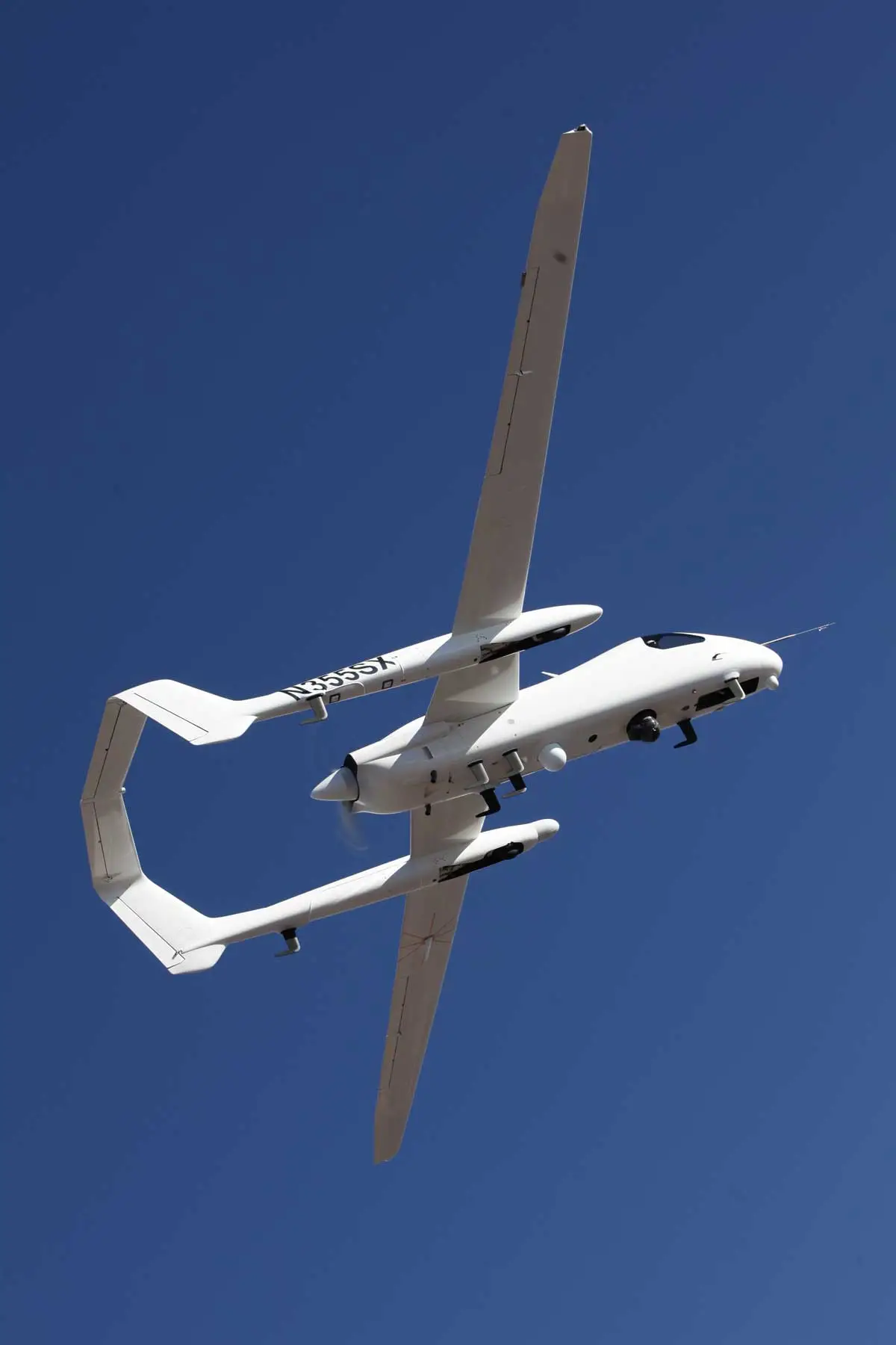 The Firebird in flight