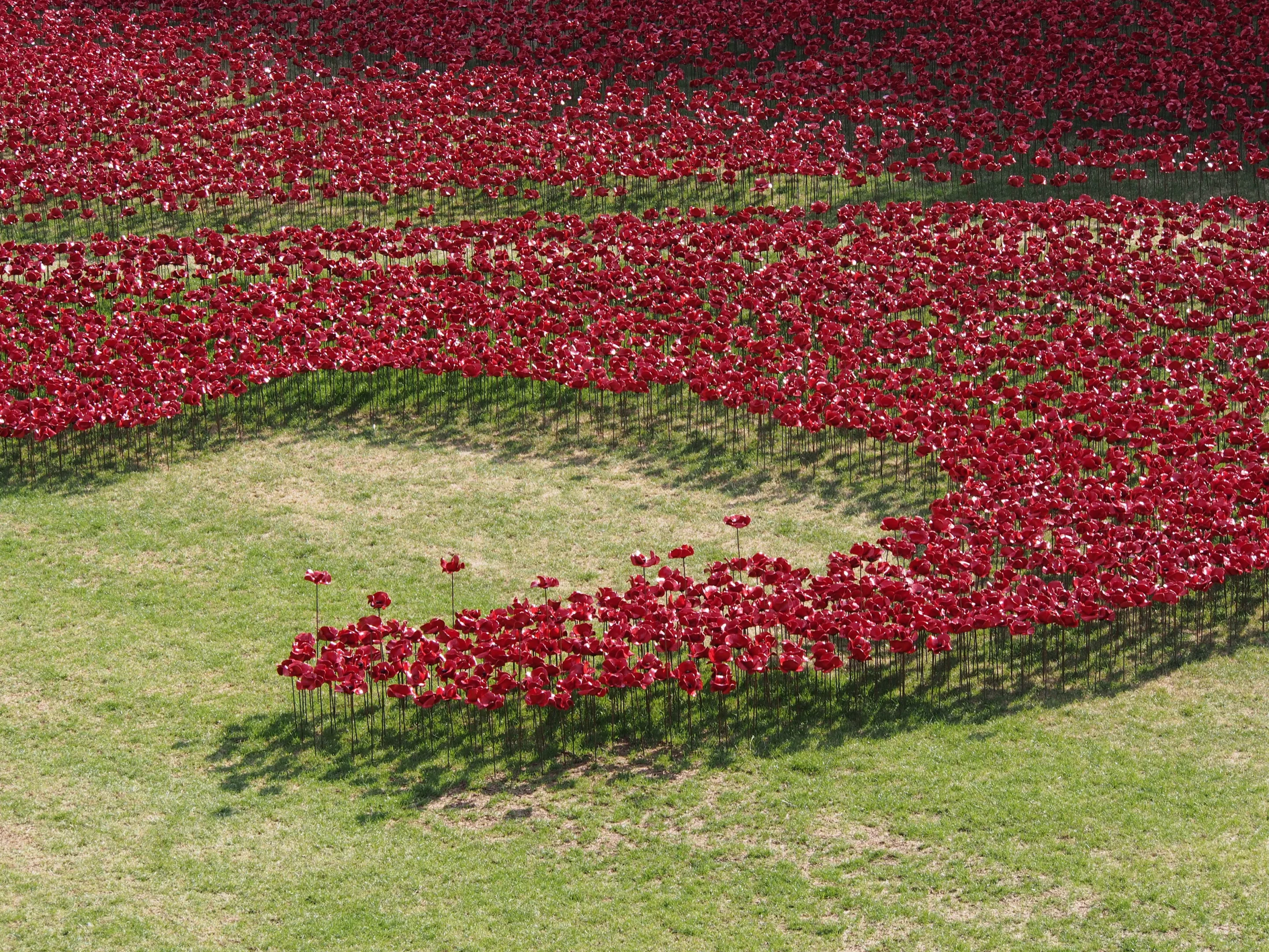 Each evening until the installation closes on November 11, there is a roll of honor read out that lists 180 serving military killed during the First World War (Photo: Adam Williams/Gizmag)