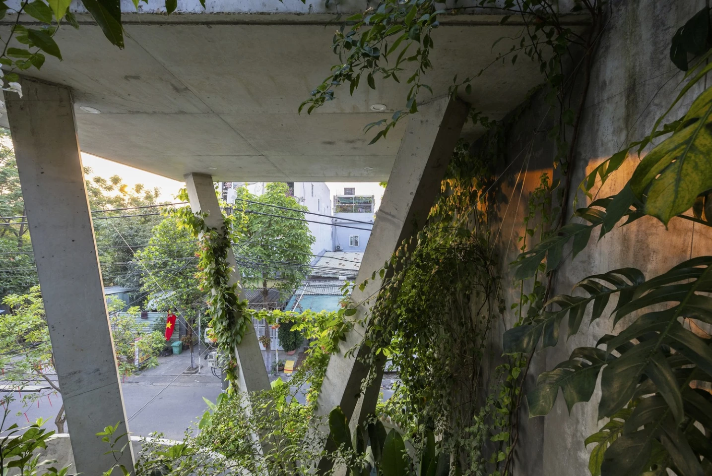 The Nest House is elevated on diagonal x-shaped concrete pillars