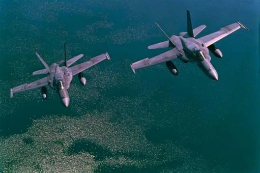 A pair of F/A-18s