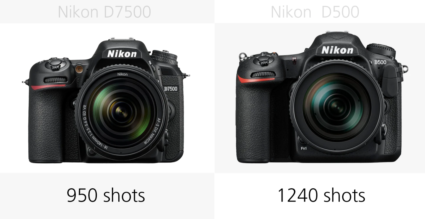 The battery life of the Nikon D7500 and Nikon D500 compared